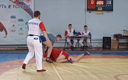 Описание